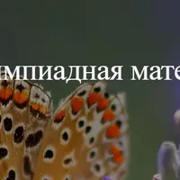 Я учусь решать — весна. Олимпиадная математика для 2-3 классов