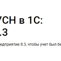Учет НДС при УСН в 1С: Предприятие 8.3