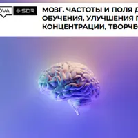 Мозг. Частоты и поля для лучшего обучения, улучшения памяти, концентрации, творчества
