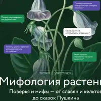 Мифология растений. Поверья и мифы — от славян и кельтов до сказок Пушкина