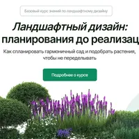 Ландшафтный дизайн: от планирования до реализации