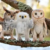 Курс по миниатюрным совам