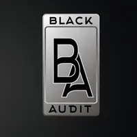 Приватный канал BlackAudit Premium