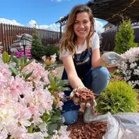 Цветник на солнце