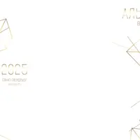 Макет альбома 9-11 класс №1396