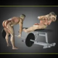 Мышцы кора, выстраивание грудной клетки над тазом