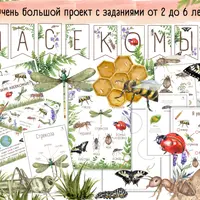 Большой проект Насекомые
