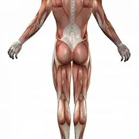 Чтение тела и тестирование клиентов