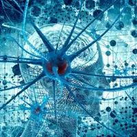 Введение в когнитивную нейронауку. Лекция 3. «Чтение» мозга