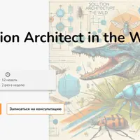 Solution Architect in the Wild