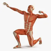 Разблокировка крестцово-подвздошного сочленения