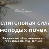 Целительная сила молодых почек