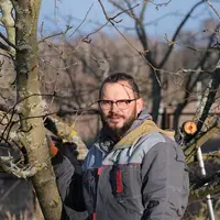 Обрезка смолоду - залог здоровья и урожая плодовых