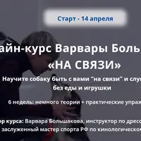 На связи