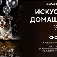 Искусство домашнего ухода