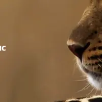 Переписка, общение и смс