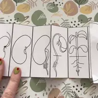 Ботаникум 2.0. 6-7 классы