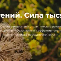 Азбука растений. Тысячелистник