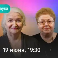 Как учить и учиться в XXI веке. Лекция-дискуссия на стыке нейронаук и педагогики