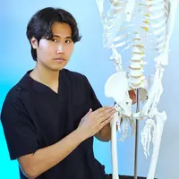 Здоровый тазобедренный сустав