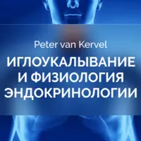 Иглоукалывание и физиология эндокринологии