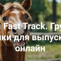 Profi Fast Track. Группа практики для выпускников