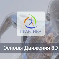 Основы движения 3D