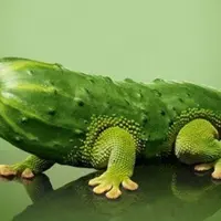 ГМО: правда и мифы