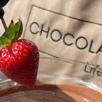 Клубника в шоколаде: изысканный десерт