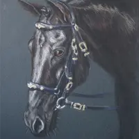 Ах, Кони: реализм и грация в технике сухой пастели
