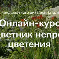 Делаем цветник непрерывного цветения