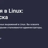 Регулярные выражения в Linux: искусство точного поиска