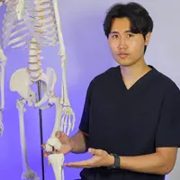 Здоровый коленный сустав