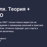Тестирование ПО с нуля. Теория + практика. Уровень PRO