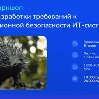 Основы разработки требований к информационной безопасности ИТ-систем