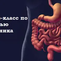 Мастер-класс по здоровью кишечника