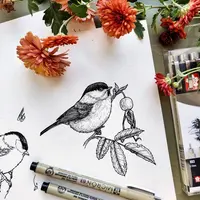 Пошаговый урок по рисованию птички линерами