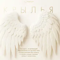 Крылья