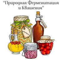 Природная ферментация и квашения