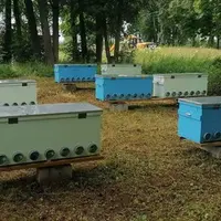 Пчеловодство в ульях лежаках на увеличенную рамку. Старт пасеки