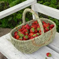 Плетеные фантазии