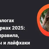 Все о налогах и проверках 2025: новые правила, штрафы и лайфхаки
