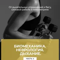 Биомеханика и неврология дыхания. Часть 3