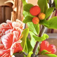 Цветущий Гранат