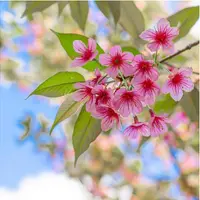 Секреты Най Инь