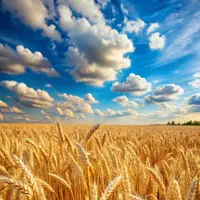 Клуб безлогичного метода