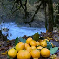 Ленивый фотограф