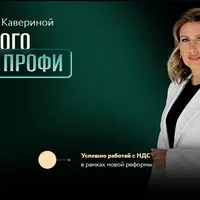 Бухгалтер малого предприятия Профи