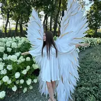 Крылья Венера