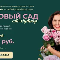 Розовый сад от кутюр